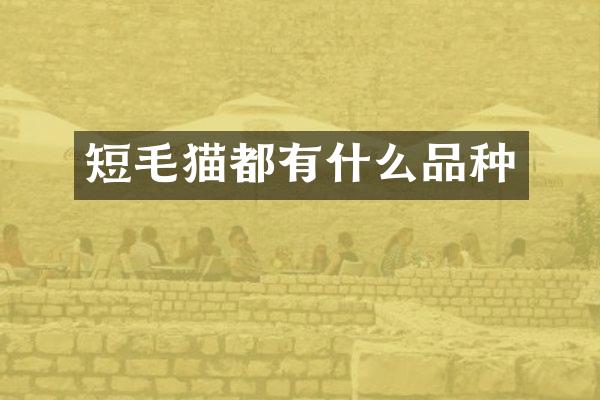 短毛猫都有什么品种