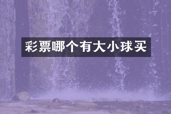 彩票哪个有大小球买