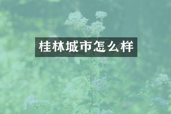 桂林城市怎么样