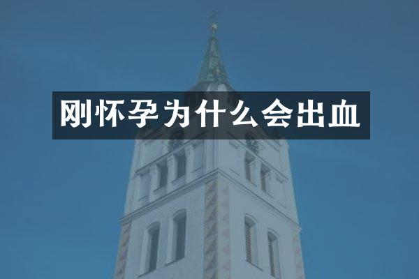 刚怀孕为什么会出血