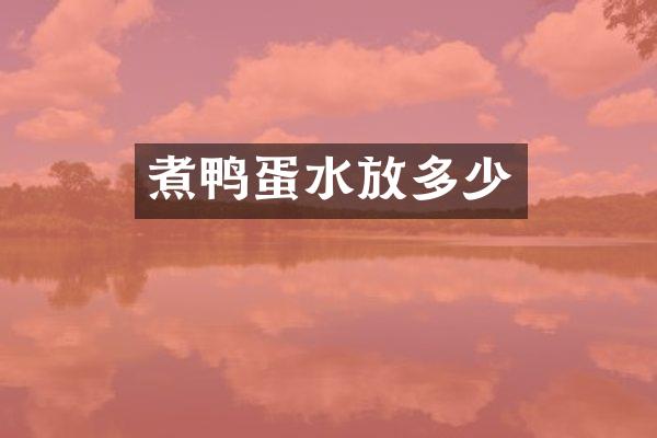煮鸭蛋水放多少