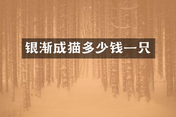 银渐成猫多少钱一只