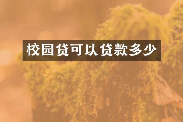 校园贷可以贷款多少