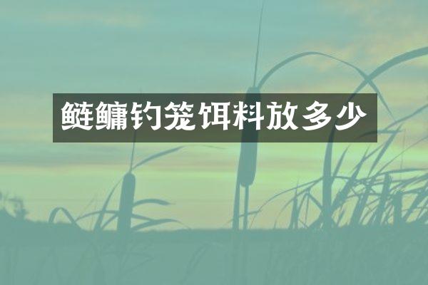 鲢鳙钓笼饵料放多少