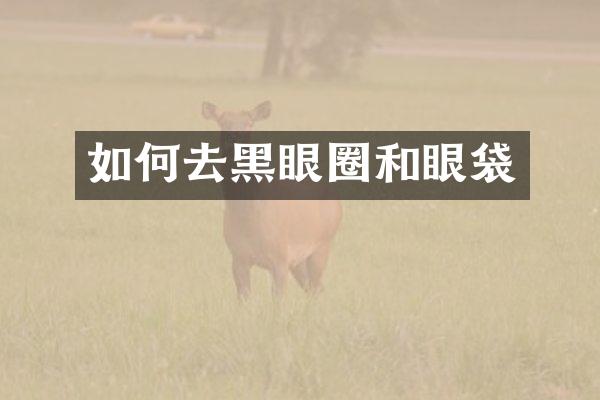 如何去黑眼圈和眼袋