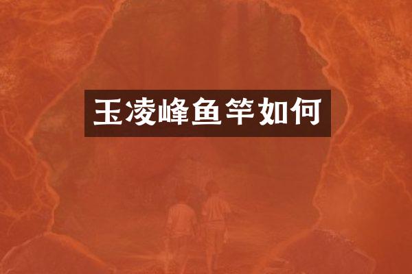 玉凌峰鱼竿如何