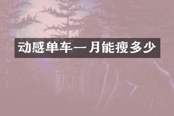 动感单车一月能瘦多少