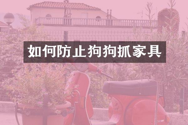 如何防止狗狗抓家具