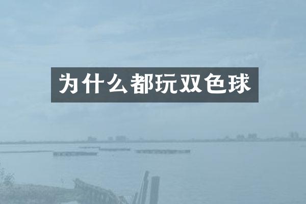 为什么都玩双色球