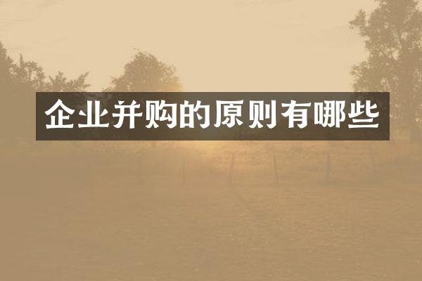 企业并购的原则有哪些