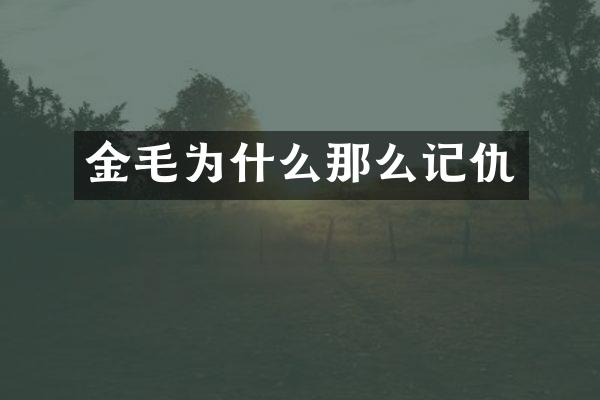 金毛为什么那么记仇