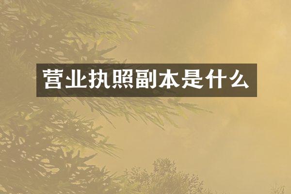 营业执照副本是什么