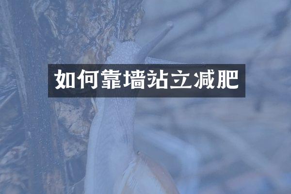 如何靠墙站立减肥