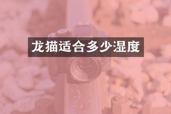 龙猫适合多少湿度