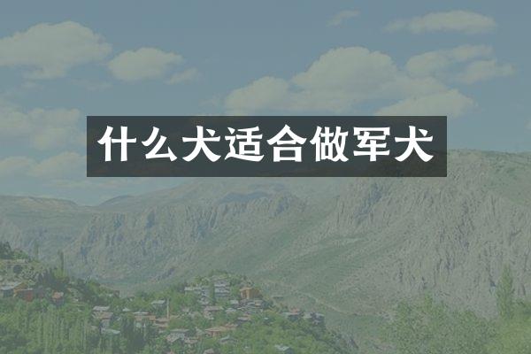什么犬适合做军犬
