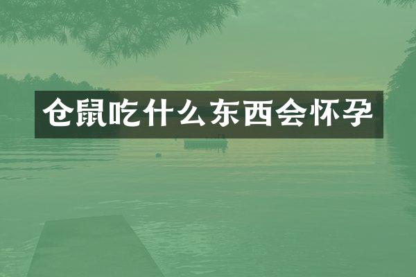 仓鼠吃什么东西会怀孕