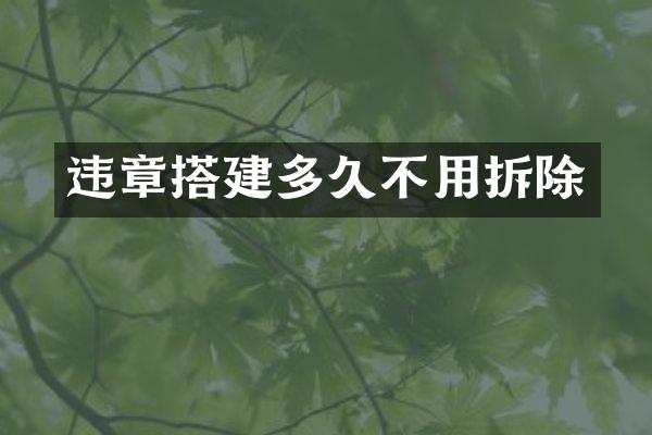 违章搭建多久不用拆除