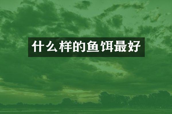 什么样的鱼饵最好