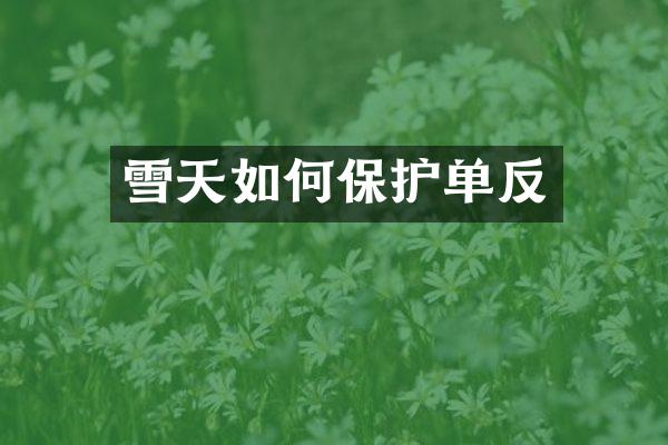 雪天如何保护单反
