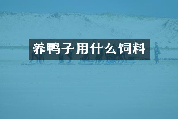 养鸭子用什么饲料