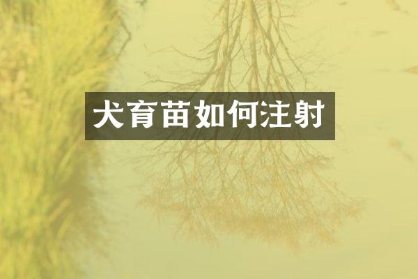 犬育苗如何注射