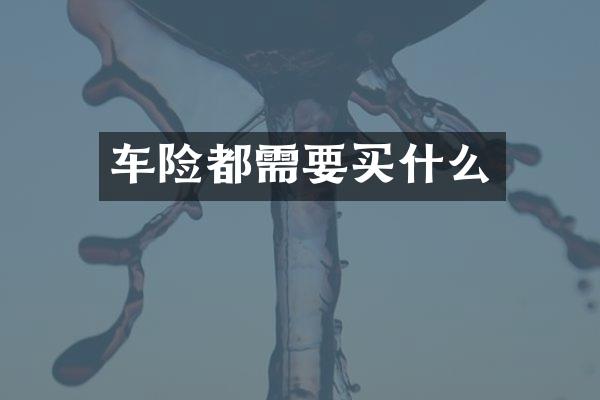 车险都需要买什么