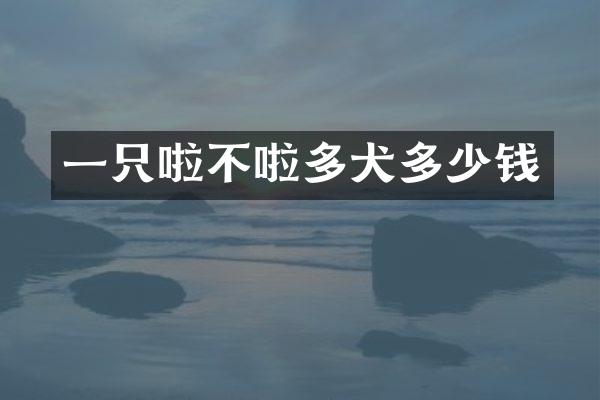 一只啦不啦多犬多少钱