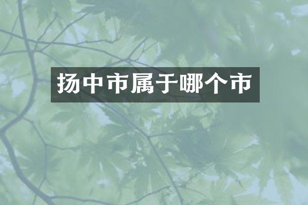 扬中市属于哪个市