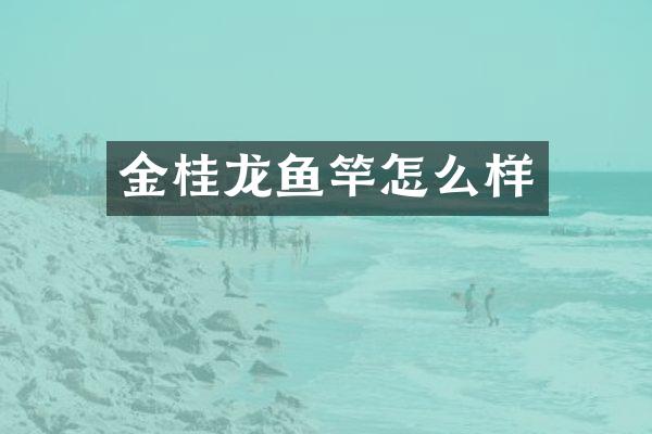 金桂龙鱼竿怎么样