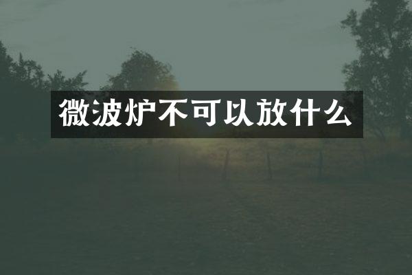 微波炉不可以放什么