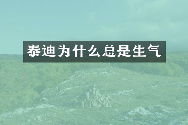 泰迪为什么总是生气