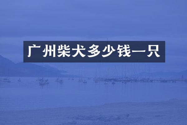 广州柴犬多少钱一只