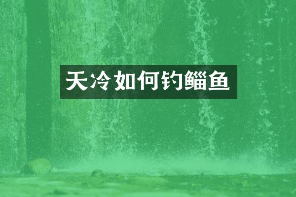 天冷如何钓鲻鱼