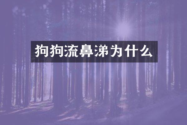 狗狗流鼻涕为什么