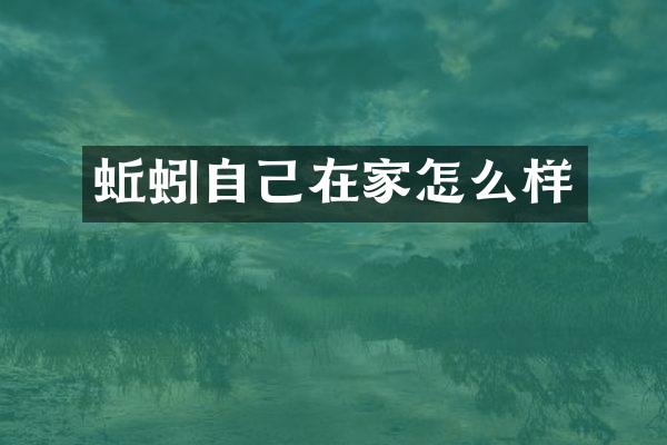 蚯蚓自己在家怎么样