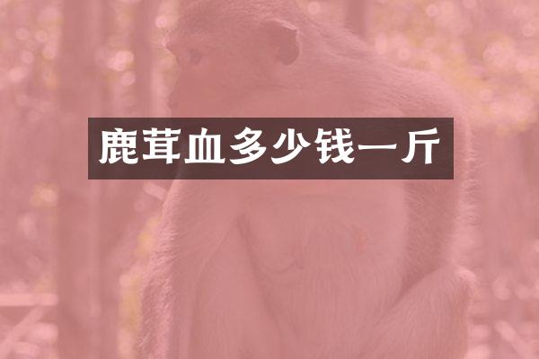 鹿茸血多少钱一斤