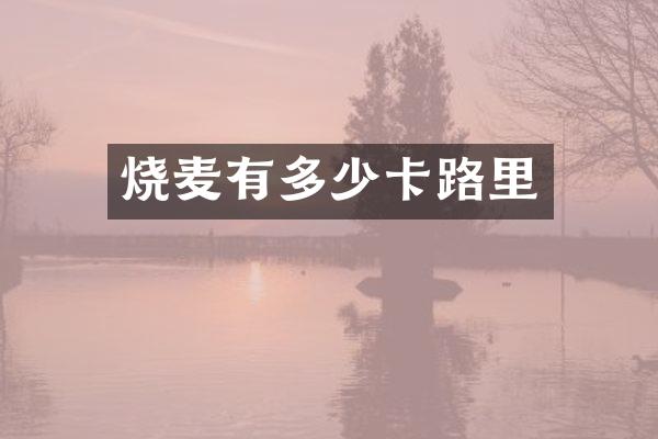 烧麦有多少卡路里