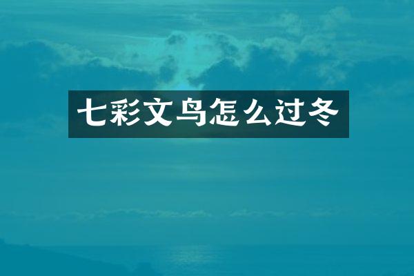七彩文鸟怎么过冬