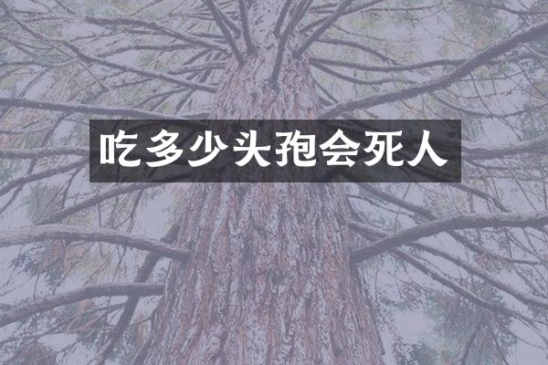 吃多少头孢会死人