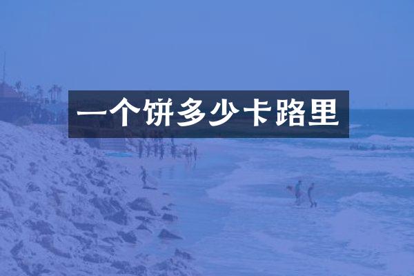 一个饼多少卡路里