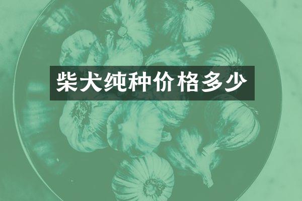 柴犬纯种价格多少