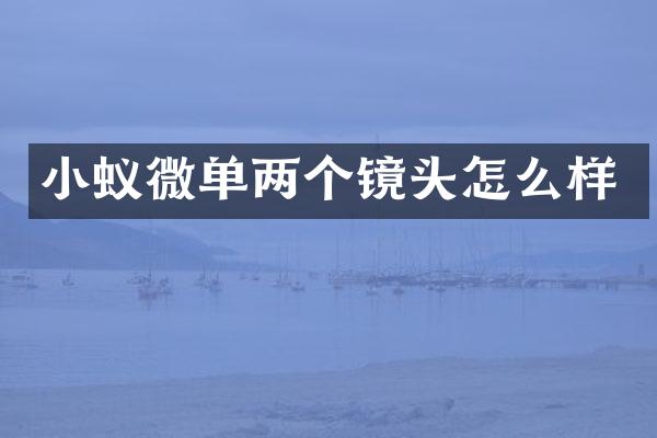 小蚁微单两个镜头怎么样
