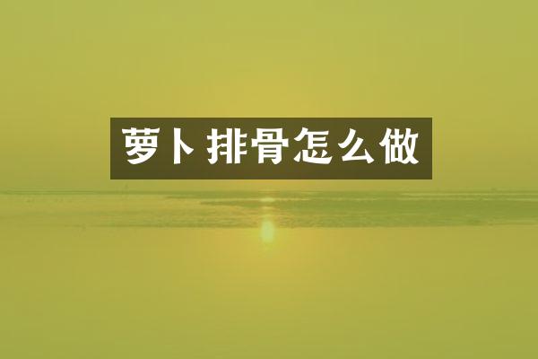 萝卜排骨怎么做