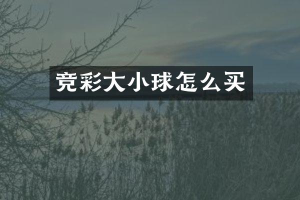 竞彩大小球怎么买