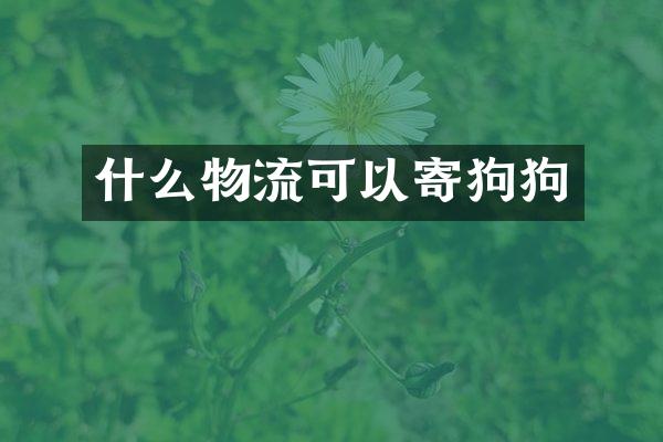 什么物流可以寄狗狗