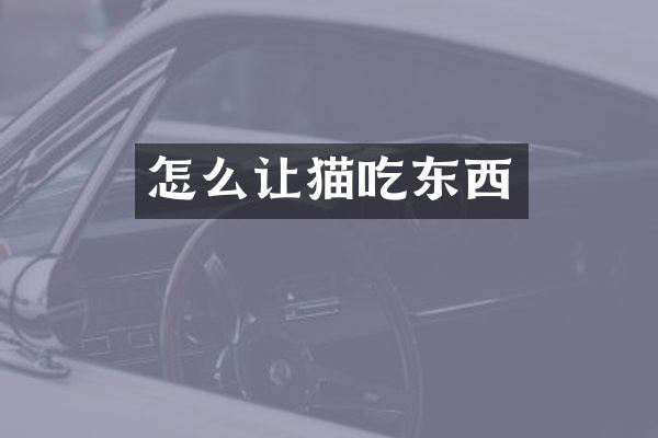 怎么让猫吃东西