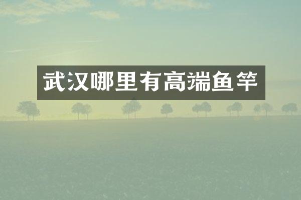 武汉哪里有高端鱼竿