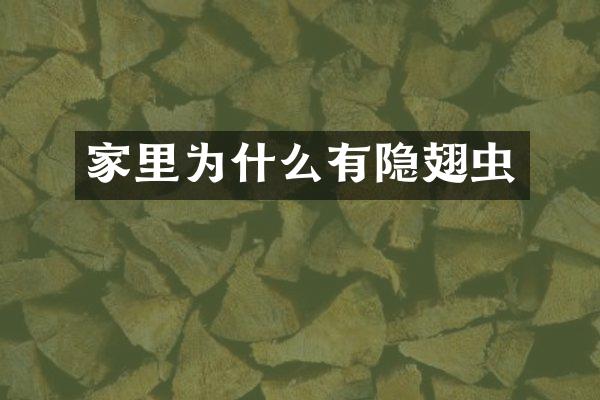 家里为什么有隐翅虫