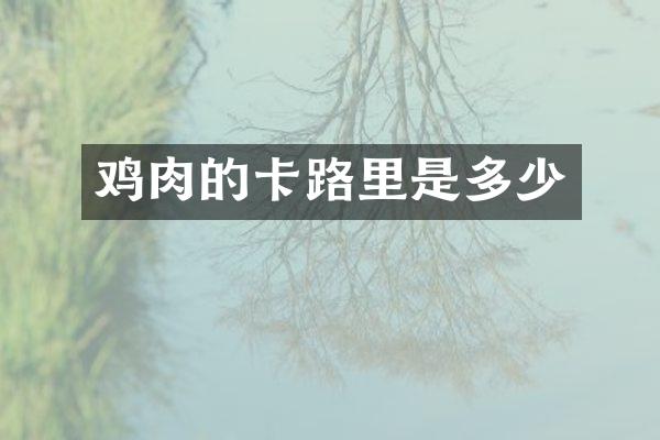 鸡肉的卡路里是多少