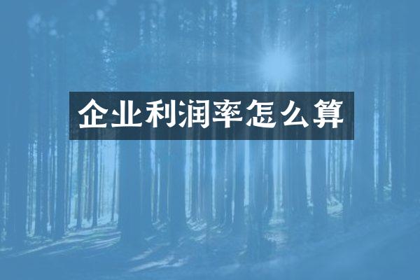 企业利润率怎么算